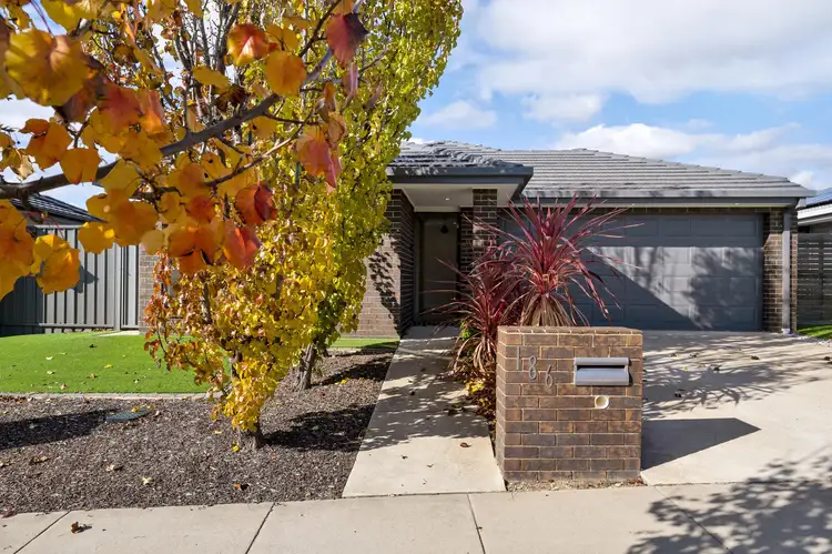 186 Jabanungga Avenue, Ngunnawal ACT 2913