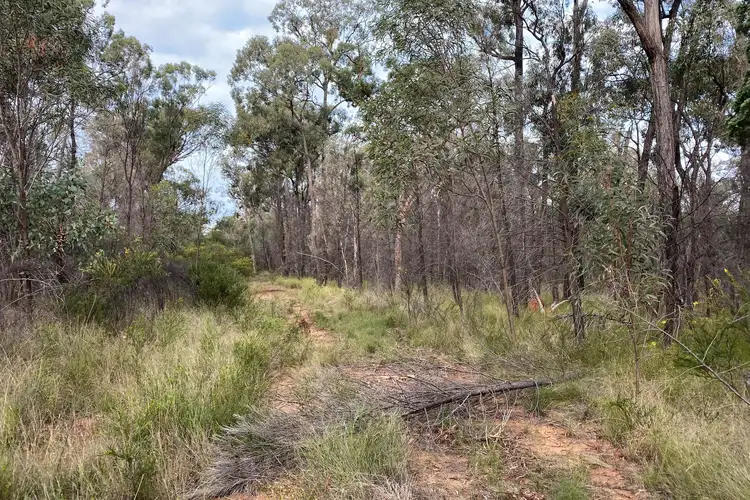 Lot 20/ Balinga Road, Wattle Ridge QLD 4357