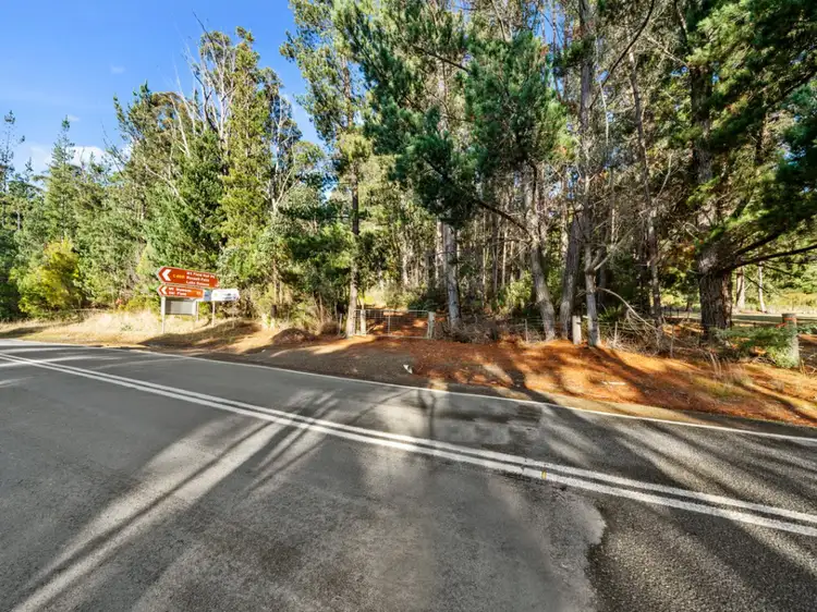 Main view of Homely land listing, 2337 Gordon River Road, National Park TAS 7140