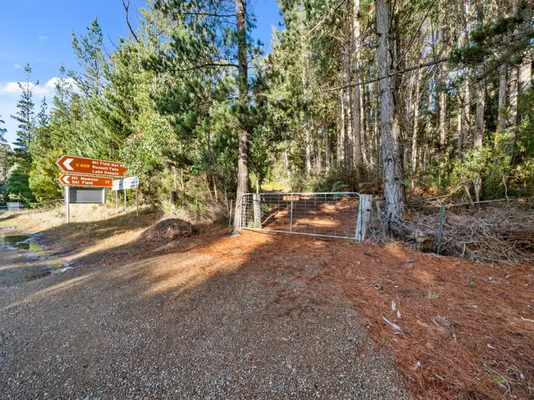 Third view of Homely land listing, 2337 Gordon River Road, National Park TAS 7140
