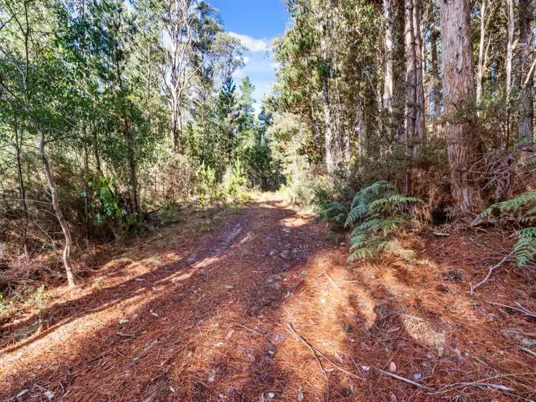 Fourth view of Homely land listing, 2337 Gordon River Road, National Park TAS 7140