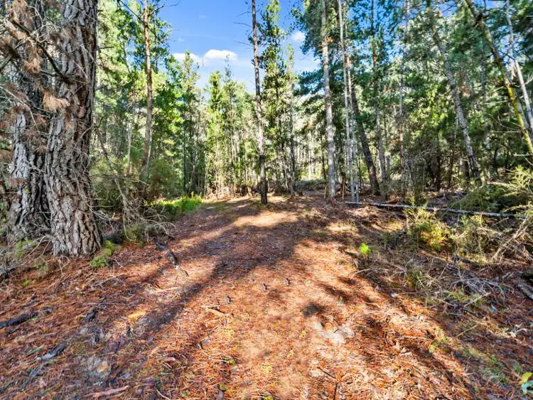 Fifth view of Homely land listing, 2337 Gordon River Road, National Park TAS 7140