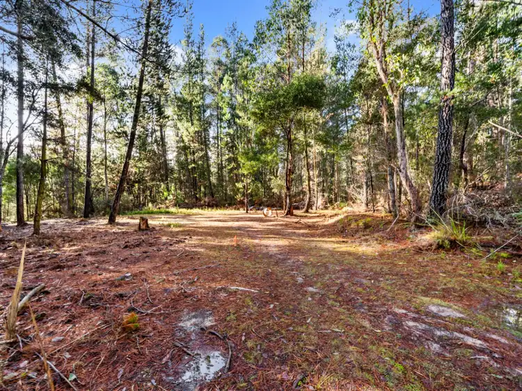 Sixth view of Homely land listing, 2337 Gordon River Road, National Park TAS 7140