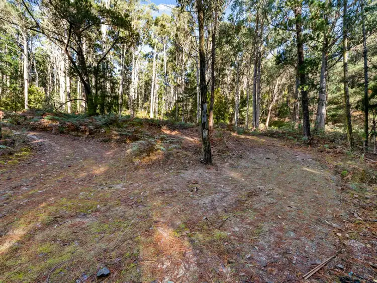 Seventh view of Homely land listing, 2337 Gordon River Road, National Park TAS 7140