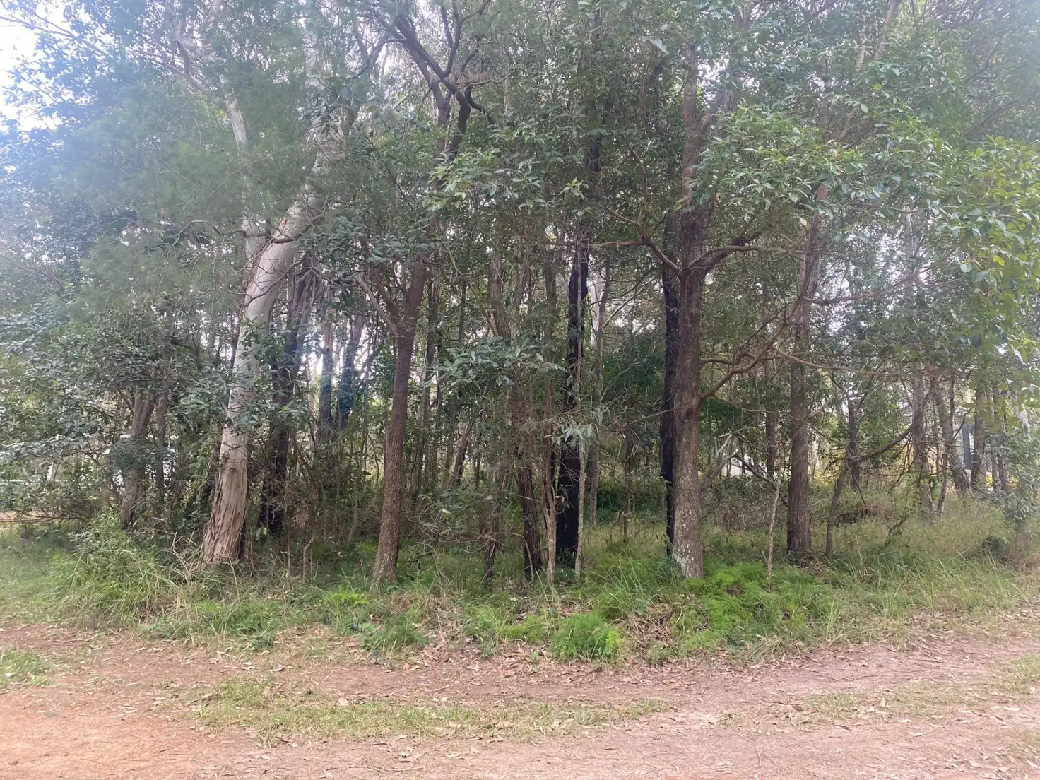 Main view of Homely land listing, 6 VICTORIA AVE, Russell Island QLD 4184