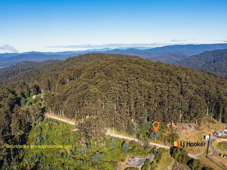 Main view of Homely land listing, PID 263281 Lottah Road, Lottah TAS 7216