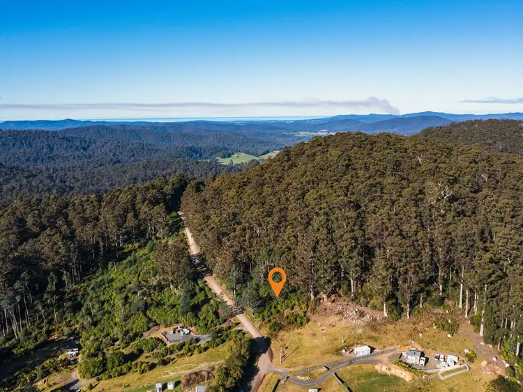 Third view of Homely land listing, PID 263281 Lottah Road, Lottah TAS 7216