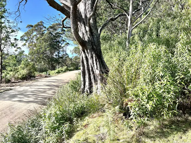 Fourth view of Homely land listing, PID 263281 Lottah Road, Lottah TAS 7216