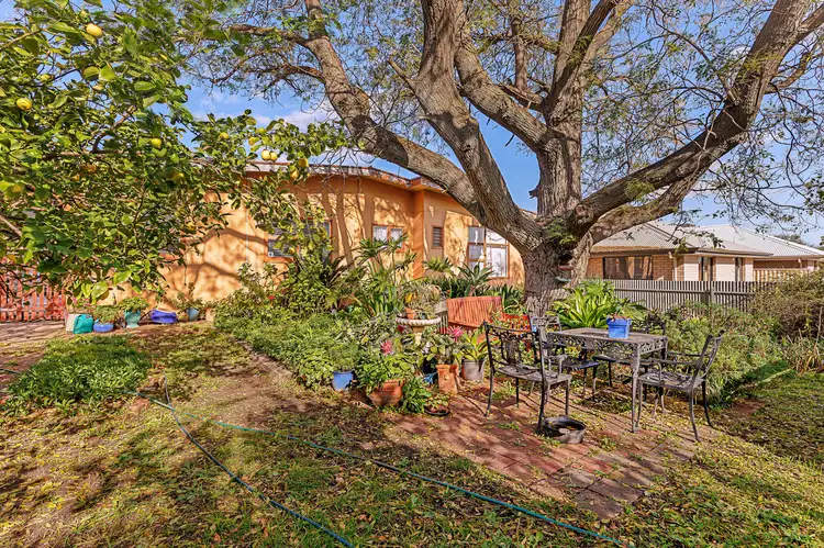 Sixth view of Homely house listing, 6 Harvey Avenue, Gilles Plains SA 5086