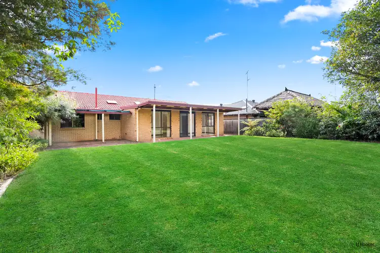 8 Matipo Place, Palm Beach QLD 4221