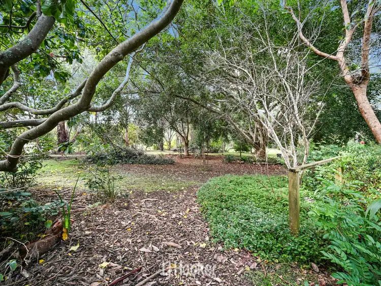 Sixth view of Homely rural property listing, 6 The Dell, Diamond Beach NSW 2430