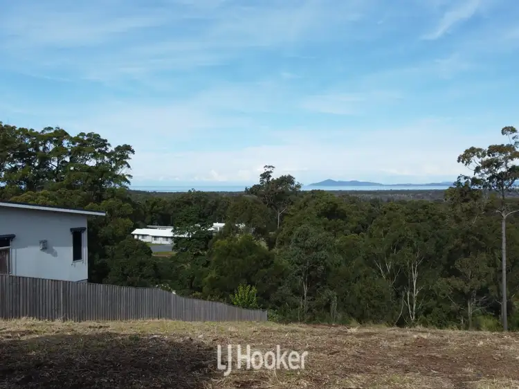 Third view of Homely land listing, 19 Eastern Valley Way, Tallwoods Village NSW 2430