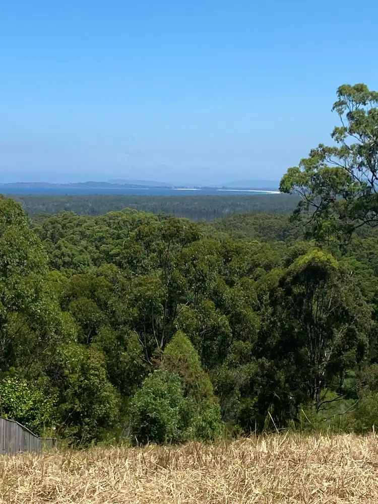 Sixth view of Homely land listing, 19 Eastern Valley Way, Tallwoods Village NSW 2430