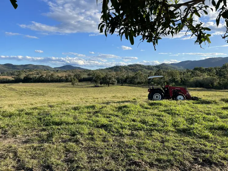 Second view of Homely rural property listing, 37 Forestry Road, Colosseum QLD 4677