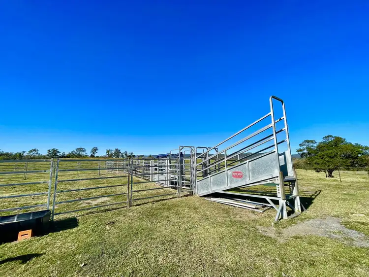 Sixth view of Homely rural property listing, 37 Forestry Road, Colosseum QLD 4677