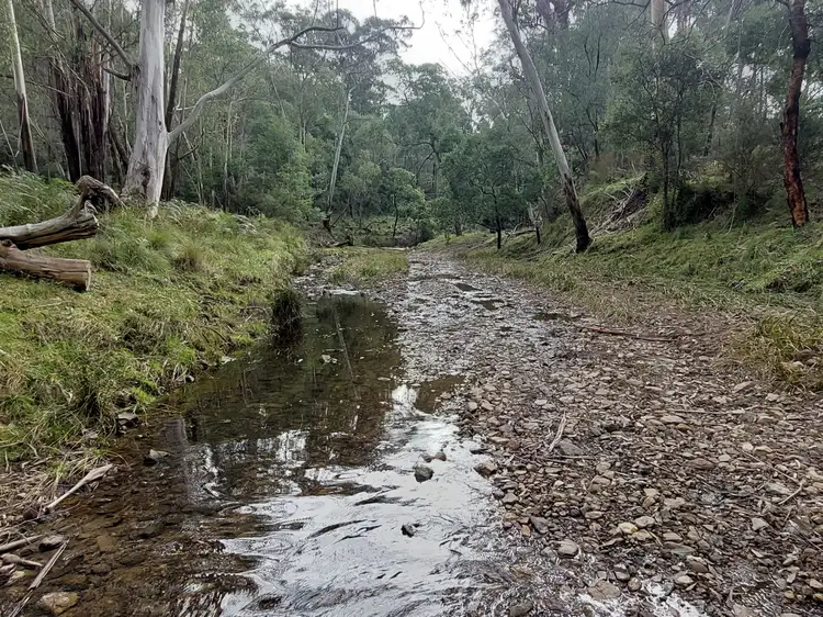 Third view of Homely rural property listing, 120 Roberts Road, Buchan South VIC 3885