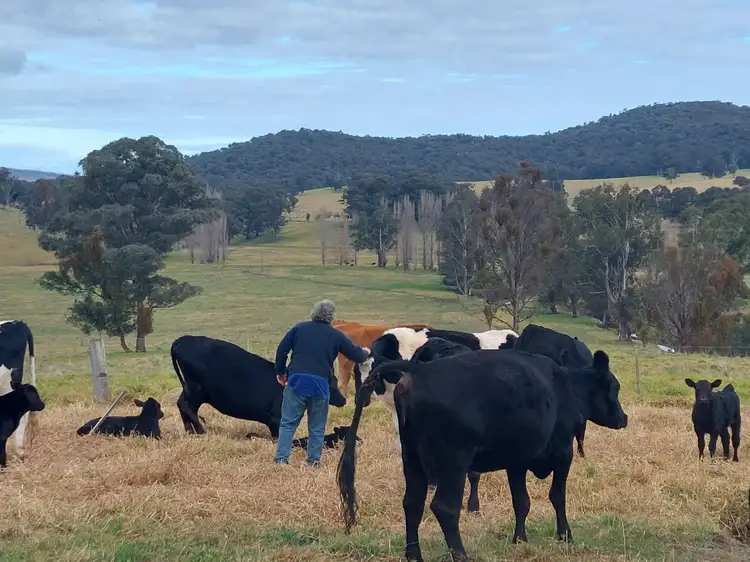 Fifth view of Homely rural property listing, 120 Roberts Road, Buchan South VIC 3885