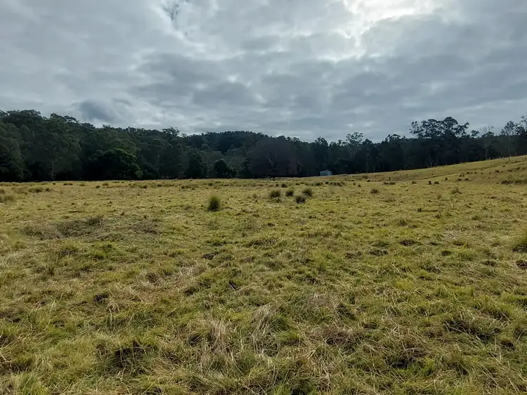 Seventh view of Homely rural property listing, 120 Roberts Road, Buchan South VIC 3885
