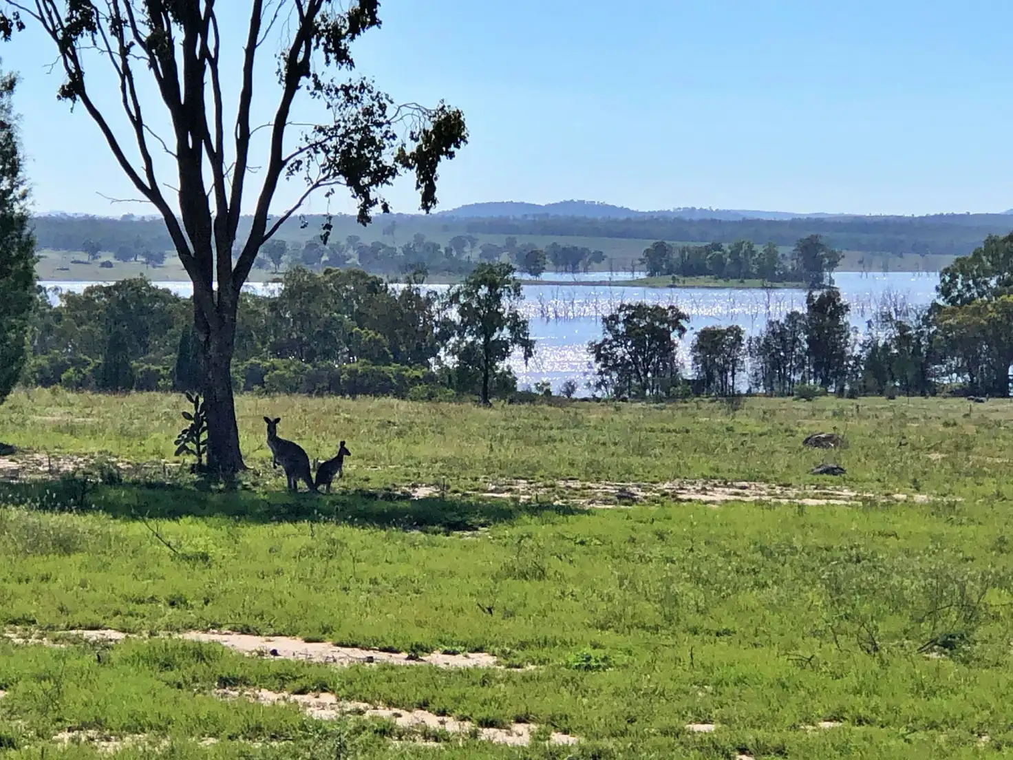 Main view of Homely rural property listing, Lot 3 Tobacco Rd, Coolmunda QLD 4387