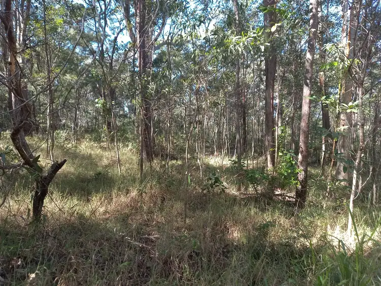 Second view of Homely land listing, 24 BLAXLAND STREET, Russell Island QLD 4184