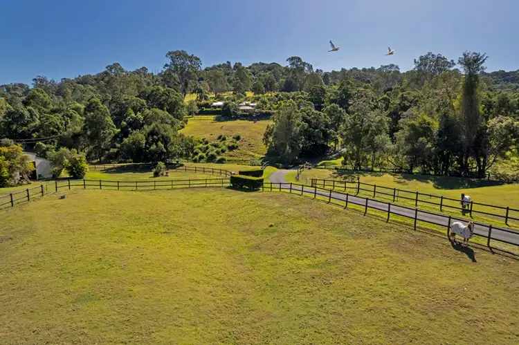 Third view of Homely rural property listing, 43 Shaws Pocket Road, Luscombe QLD 4207