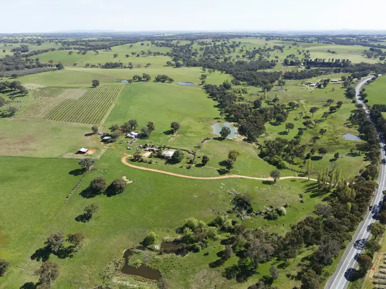 3637 Olympic Highway, Young NSW 2594