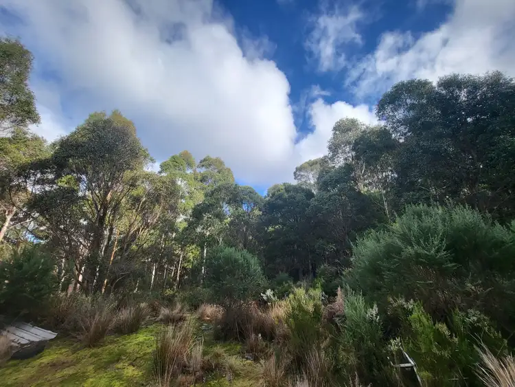 Second view of Homely land listing, 71 Gillies Road, St Marys TAS 7215