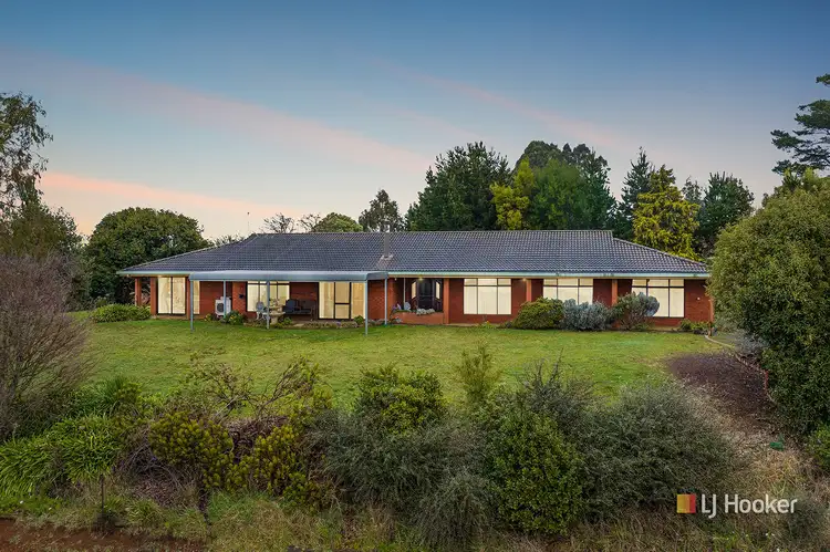 Main view of Homely rural property listing, 687 Nunns Road, Mount Hicks TAS 7325