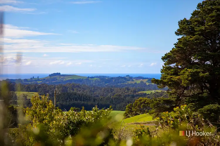 Fifth view of Homely rural property listing, 687 Nunns Road, Mount Hicks TAS 7325