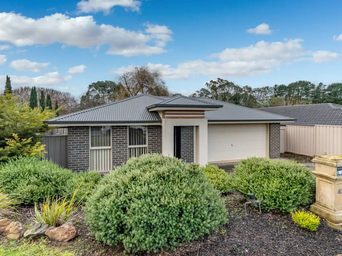 Main view of Homely house listing, 45 Douglas Drive, Mount Barker SA 5251