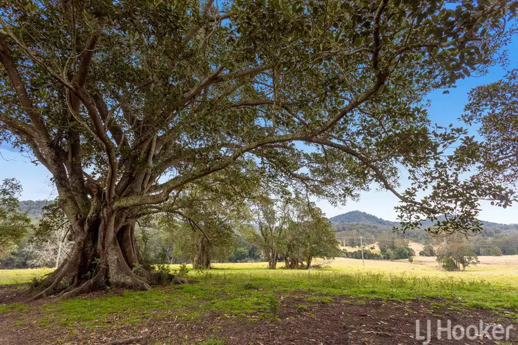 Fourth view of Homely rural property listing, 1199 Bulga Road, Marlee NSW 2429