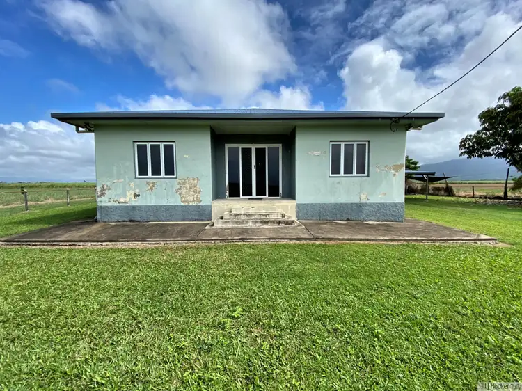 Main view of Homely house listing, 47 Brosnan Road, Lower Tully QLD 4854