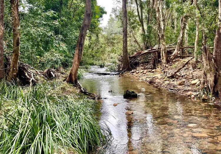Main view of Homely land listing, Lot 110 Forestry Road, Colosseum QLD 4677
