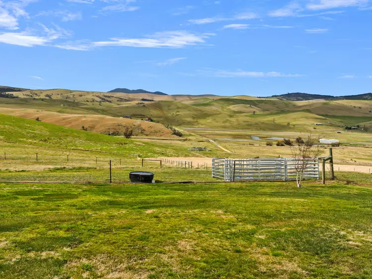 Third view of Homely rural property listing, 356 Omeo Valley Road, Omeo VIC 3898