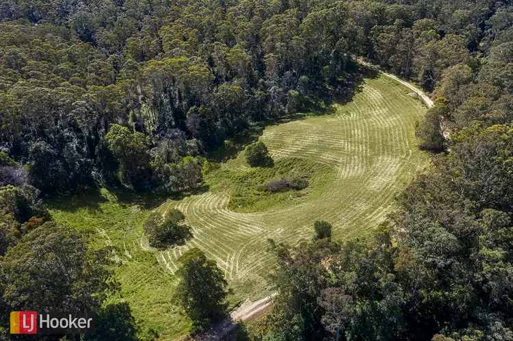 Fourth view of Homely house listing, 314 Bellingen Road, Bowraville NSW 2449