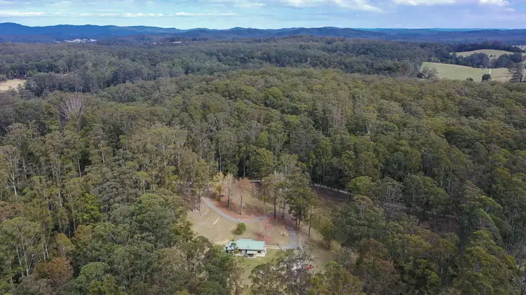 132 Mole Creek Road