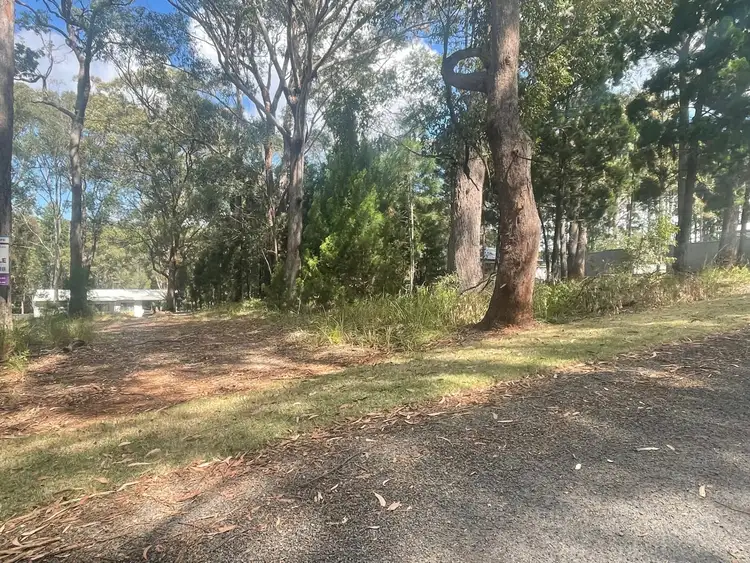 8 callistemon, Russell Island QLD 4184