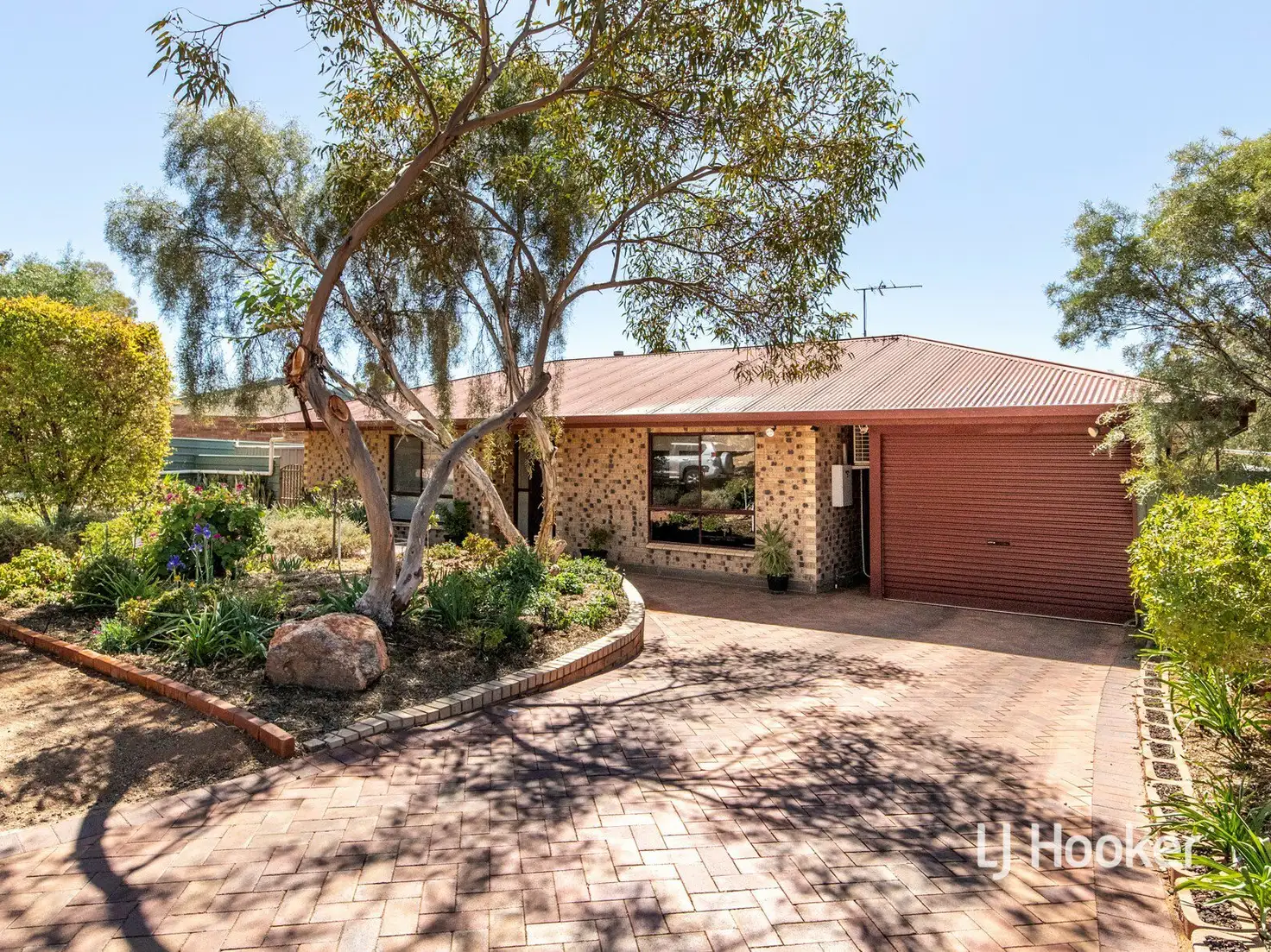 Main view of Homely house listing, 14 Mirus Court, Larapinta NT 875
