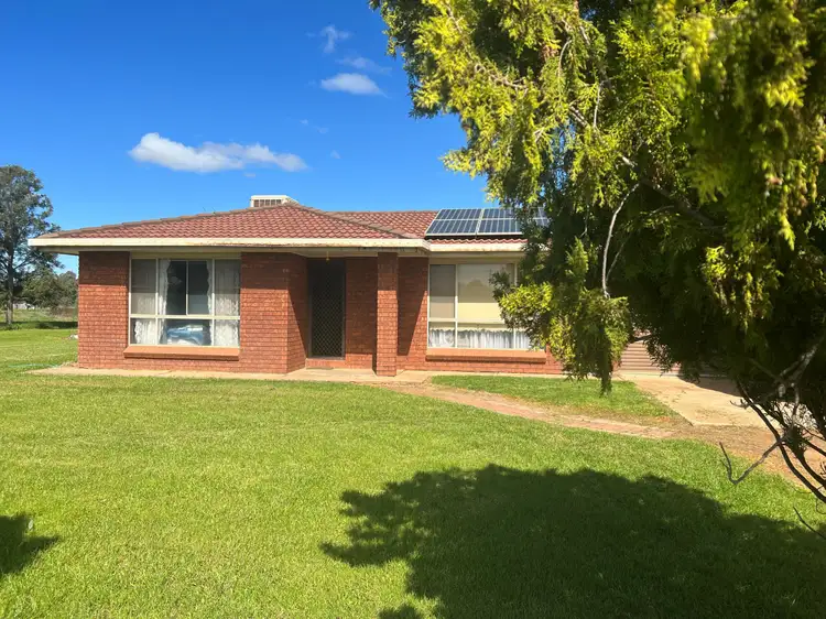 Main view of Homely house listing, 126 Webb Siding Road, Narromine NSW 2821