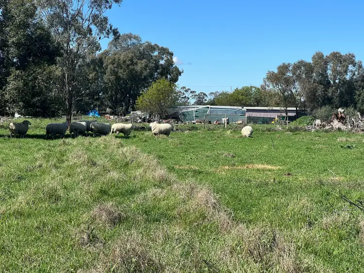 Third view of Homely house listing, 126 Webb Siding Road, Narromine NSW 2821