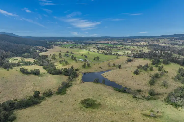 Third view of Homely rural property listing, 10280 Princes Highway, Cobargo NSW 2550