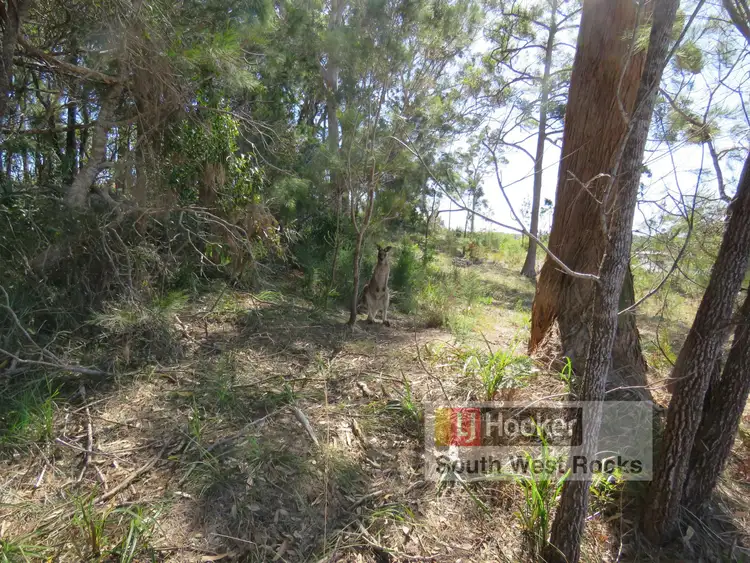 Seventh view of Homely land listing, 18 Trevor Judd Place, South West Rocks NSW 2431