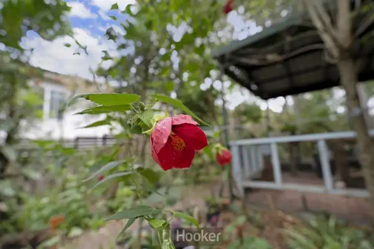 Fourth view of Homely house listing, 7 Beach Road, Wangi Wangi NSW 2267