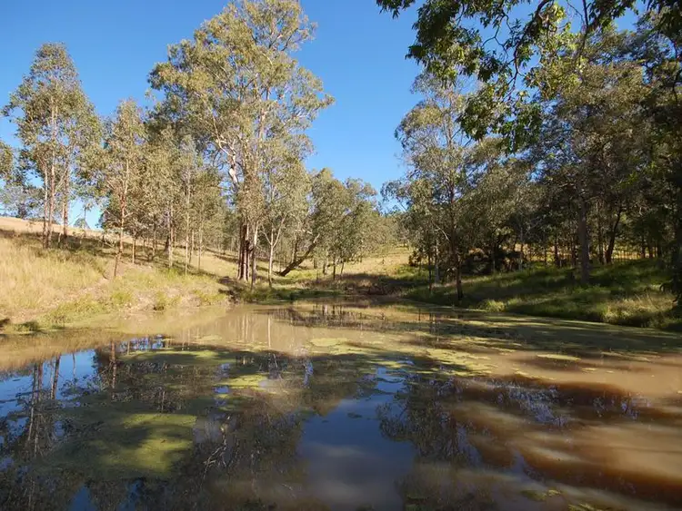 Sixth view of Homely rural property listing, 4900 Nowendoc Road, Wingham NSW 2429