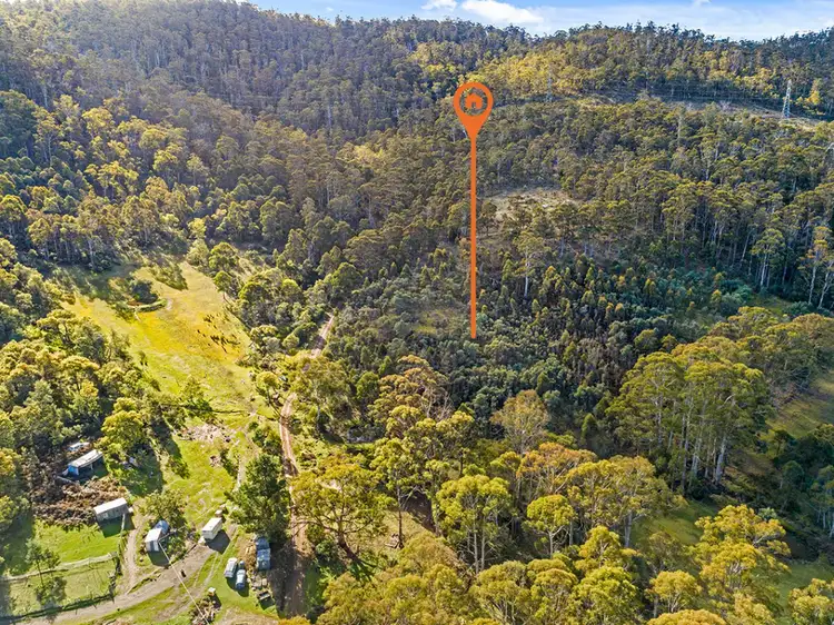 60 Briers Road, Lachlan TAS 7140