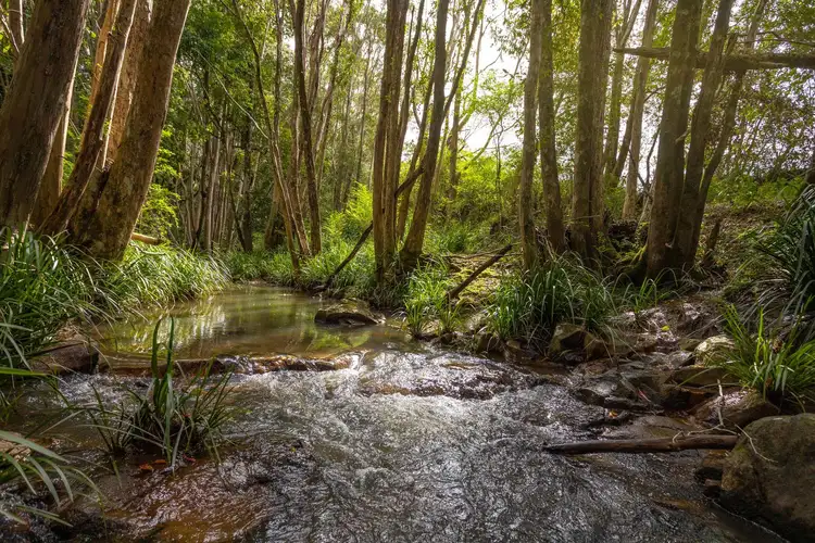 Fifth view of Homely rural property listing, 70 Cherry Tree Lane, Waitui NSW 2443