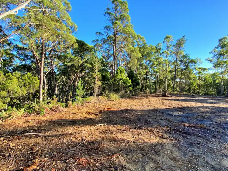 Second view of Homely land listing, 88 Main Street, St Marys TAS 7215
