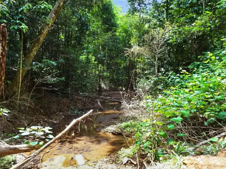 Fifth view of Homely land listing, 883 Russell Road, Butchers Creek QLD 4885