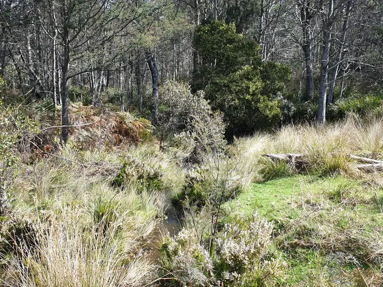 Second view of Homely land listing, PID 275515 Irish Town Road, St Marys TAS 7215