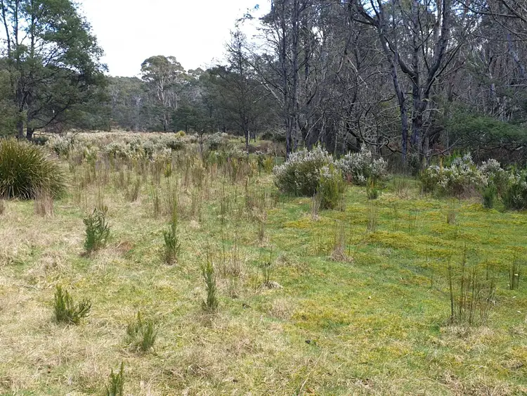 Fourth view of Homely land listing, PID 275515 Irish Town Road, St Marys TAS 7215
